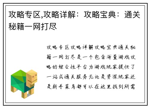 攻略专区,攻略详解：攻略宝典：通关秘籍一网打尽