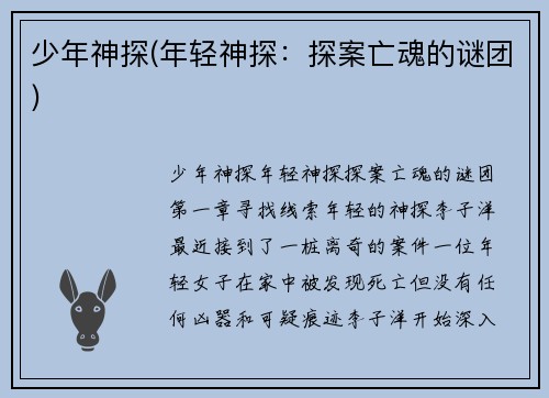 少年神探(年轻神探：探案亡魂的谜团)